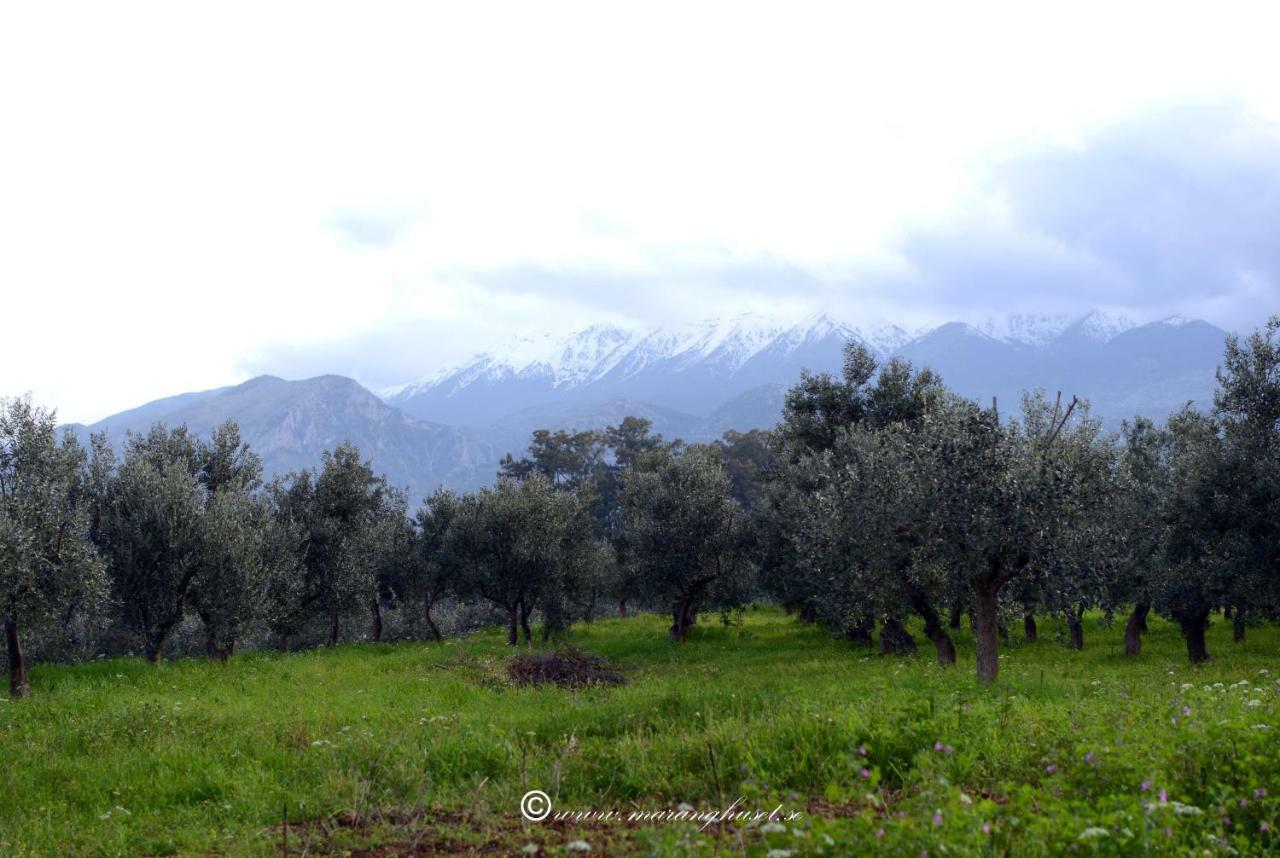 Lycurgus - The Spartan Home מראה חיצוני תמונה